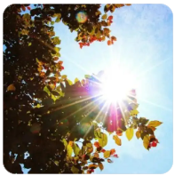 欢迎使用Z-BlogPHP！