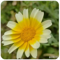 欢迎使用Z-BlogPHP！