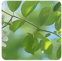 欢迎使用Z-BlogPHP！