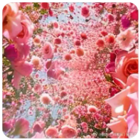 欢迎使用Z-BlogPHP！